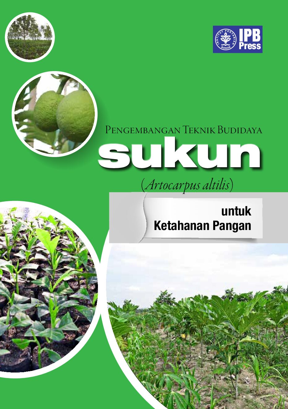 Cover Pengembangan Budidaya Sukun Untuk Mendukung Ketahanan Pangan Hamdan Dkk 2014